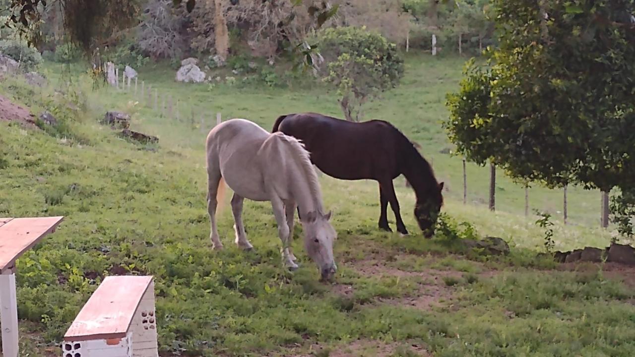Casa & Chale Em Morro Redondo Rs Villa Eksteriør bilde